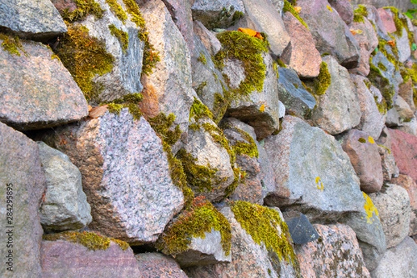 Obraz stone wall with moss