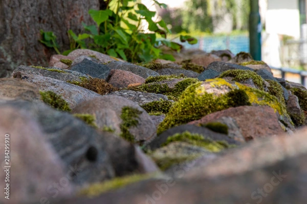 Obraz stone wall with moss
