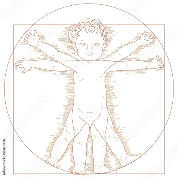 Fototapeta Vector Vitruvian child