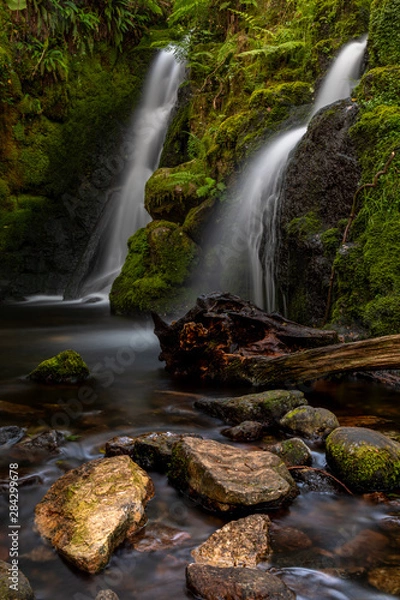Obraz Dartmoor, Devon, England
