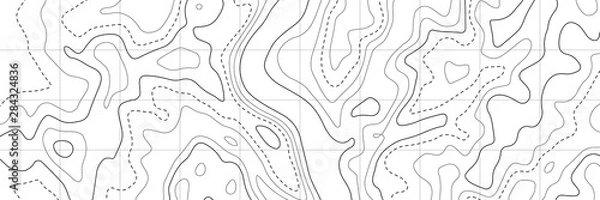 Obraz Topographic map. Topographical background. Linear graphics. Vector illustration.