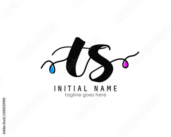 Fototapeta T S TS Initial brush color logo template vetor