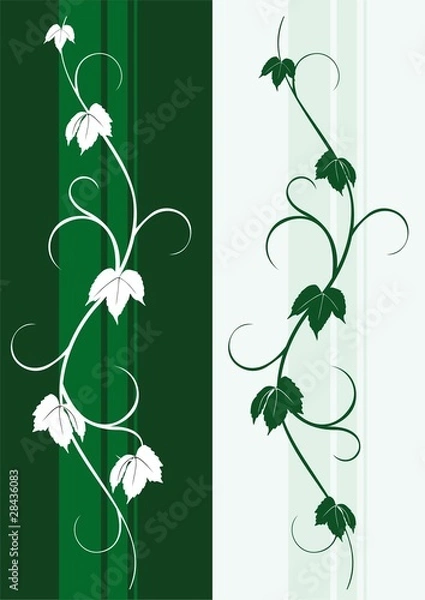 Obraz liana decor silhouette