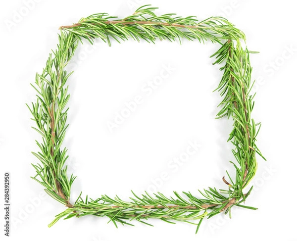 Fototapeta Fresh rosemary herb isolated on white background, Top view with copy space