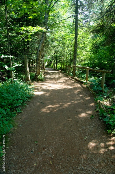 Fototapeta Canada, Prince Edward Island. Green Gables NP. Setting for L.M. Montgomery's classic fiction, Anne of Green Gables. Lover's Lane as mentioned in book, Balsam Hollow trail.