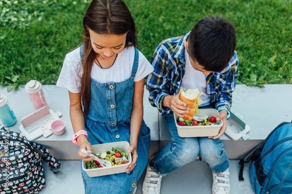 Fototapeta Little brother and sister siting on the grass together in summer park with lunch boxes and smart watch on hands.
