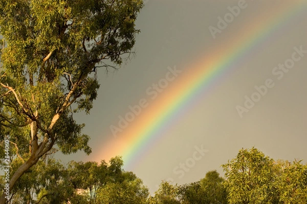 Obraz rainbow