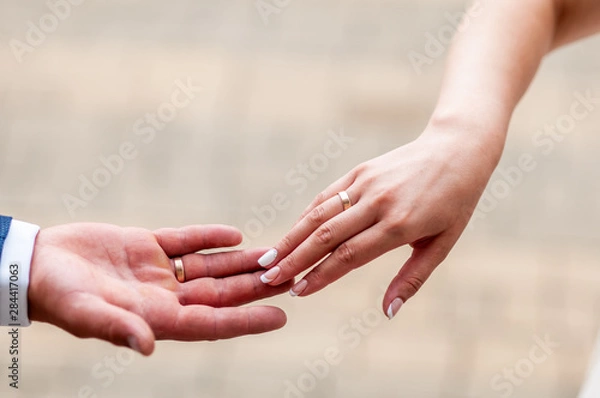 Fototapeta Bride and groom hands drawning to each other