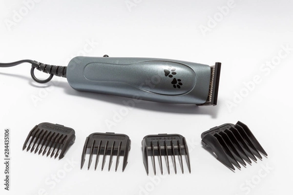 Fototapeta Pet hair trimmer with 4 attachments. Isolated on white background.