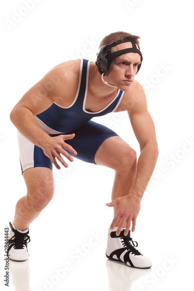 Obraz Wrestler
