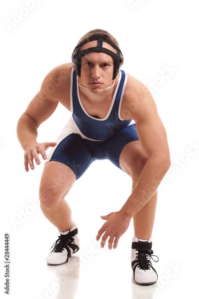 Obraz Wrestler