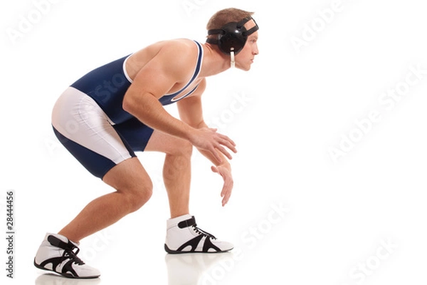 Obraz Wrestler