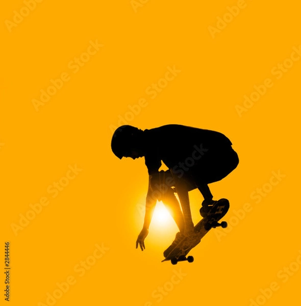 Obraz skateboarder
