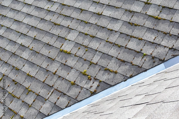 Obraz Dwie różne części szarego asfaltu bitumicznego na dachu, jedna część porośnięta zielonym mchem, druga czysta.