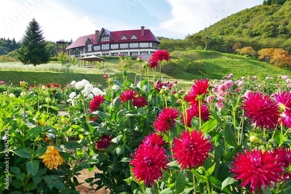 Obraz 《国際ダリア園》秋田県秋田市