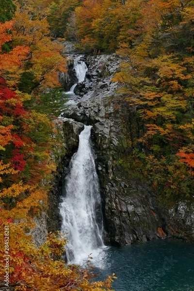Fototapeta 《法体の滝》秋田県由利本荘市