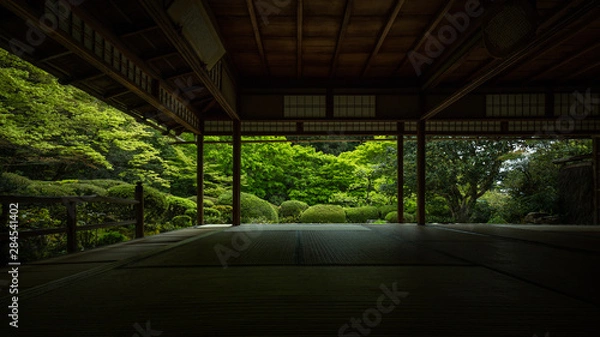 Fototapeta 京都府 詩仙堂 新緑