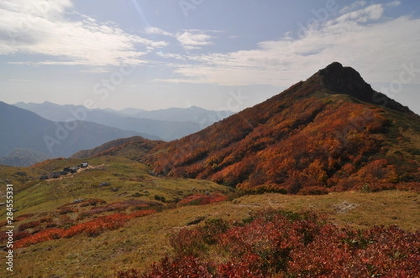 Fototapeta landscape in the mountains