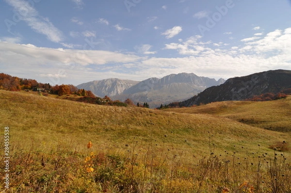Fototapeta autumn mountain landscape in the mountains