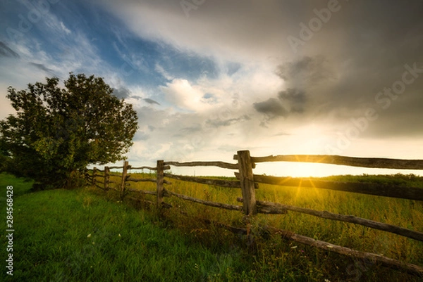 Obraz Fence on a sunny pasture