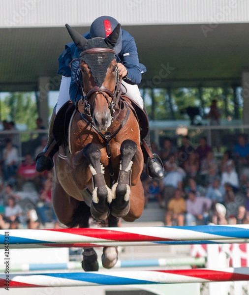 Obraz Jinete a caballo saltando obstáculo