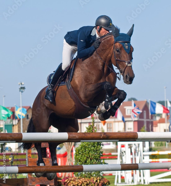 Fototapeta Jinete a caballo saltando obstáculo