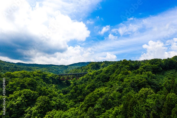 Obraz 山の中の鉄橋