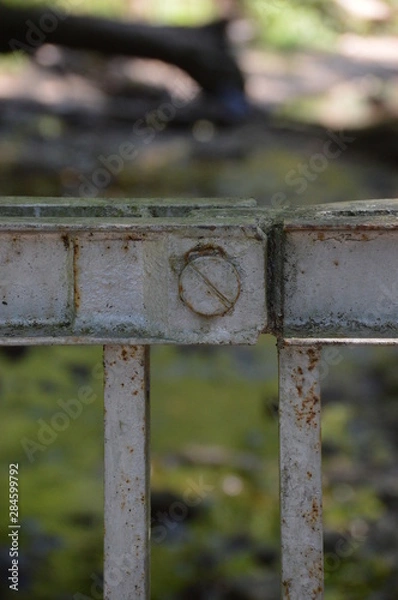 Fototapeta Handrail Screw