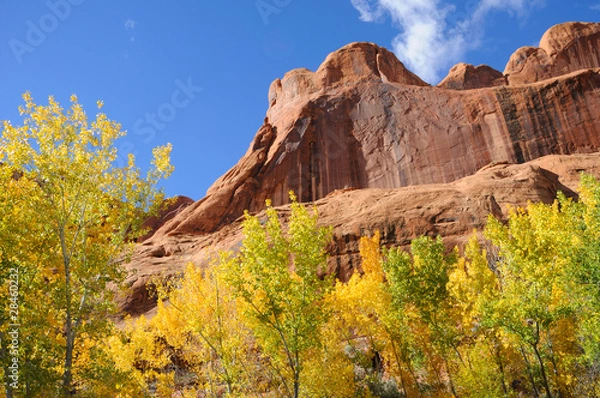 Fototapeta Poison Spider Mesa in the Fall
