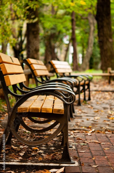 Obraz 秋のベンチ、側面から