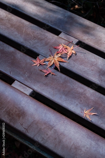 Obraz 落ち葉の休憩所