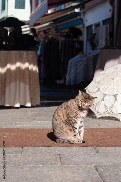 Obraz 日傘はいかがですか？