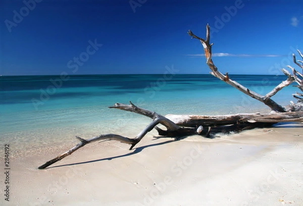 Obraz selekcja karabów cuba v