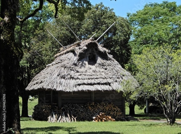 Obraz 藁葺き屋根