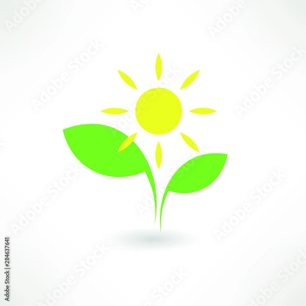 Fototapeta Green leaf and sun