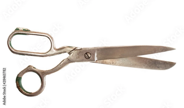 Obraz Old scissors