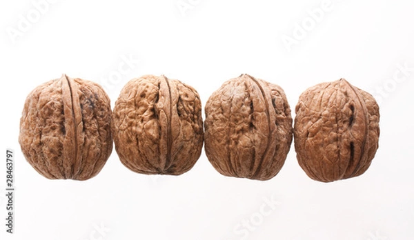 Fototapeta Four walnuts