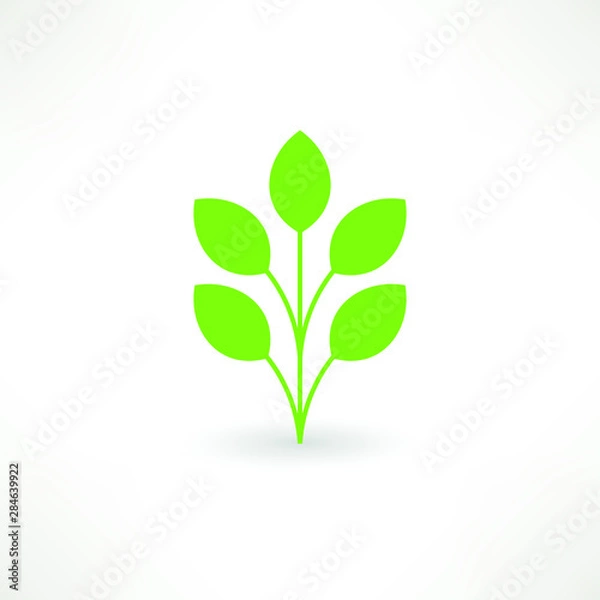 Fototapeta Green Leaf Icon Vector Illustrations