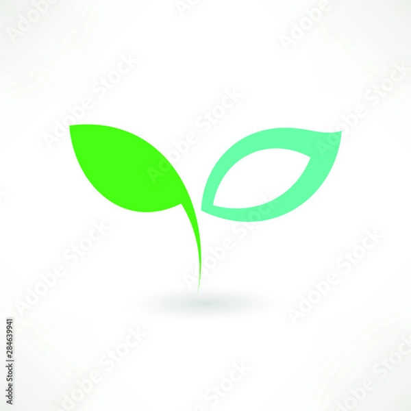 Obraz Green Leaf Icon Vector Illustrations