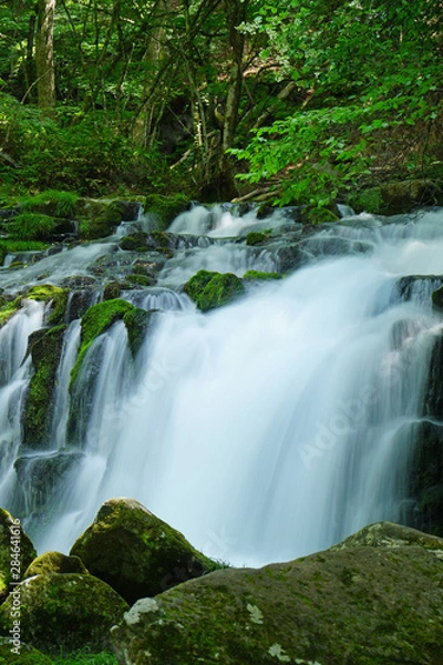 Fototapeta 夏の蓼科大滝