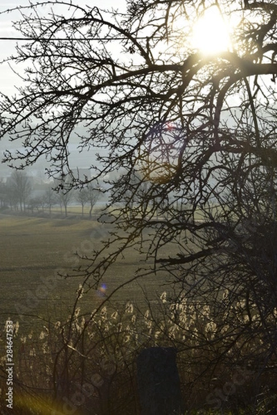 Obraz am Morgen