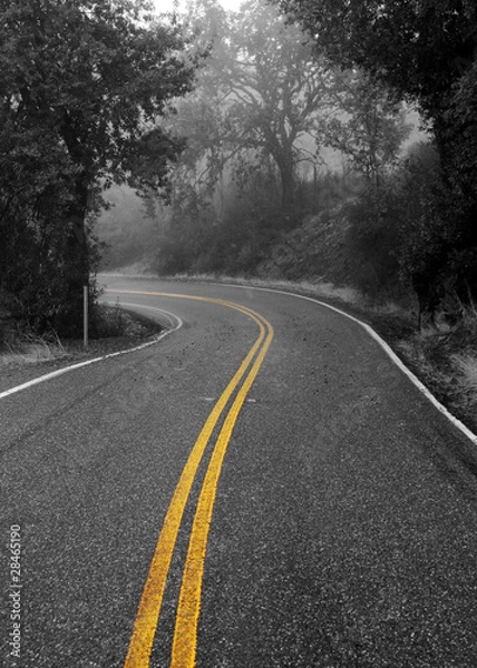 Fototapeta Foggy Road