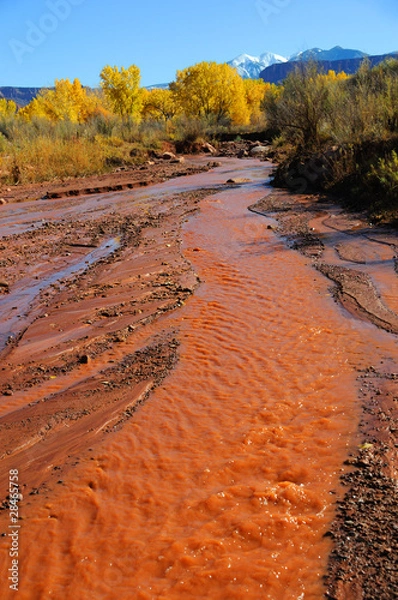 Fototapeta Desert Stream in Fall with Snowy Mountains