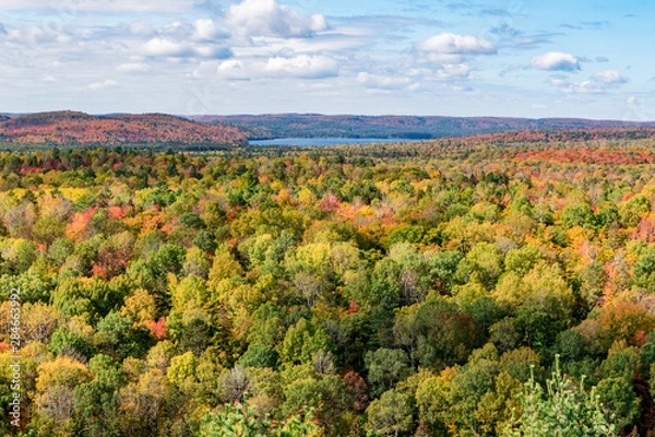 Fototapeta Indian Summer