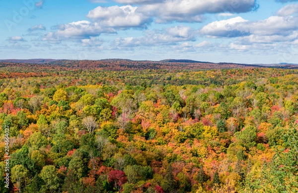 Fototapeta Indian Summer