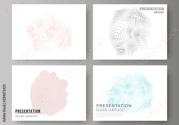 Obraz The minimalistic abstract vector illustration of the editable layout of the presentation slides design business templates. Topographic contour map, abstract monochrome background.