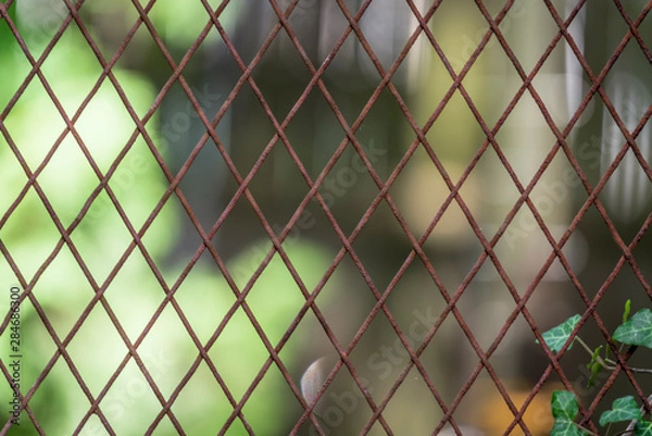 Obraz Flowers and bees