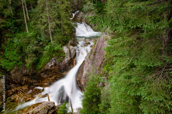 Obraz waterfall in forest