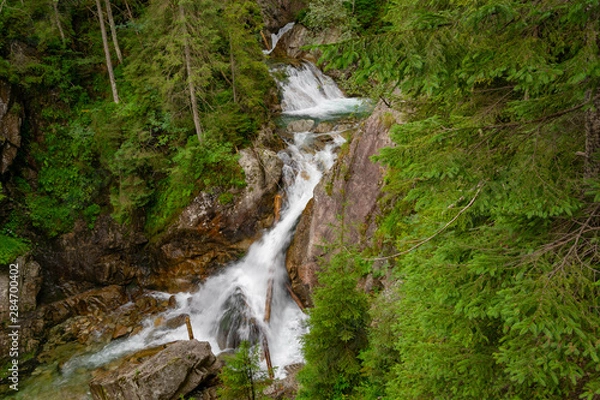 Obraz waterfall in forest