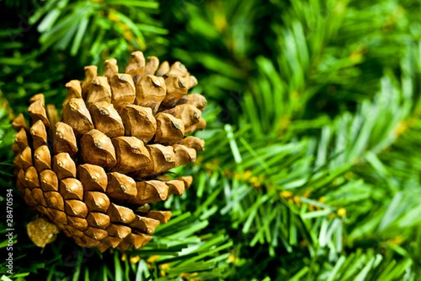 Obraz Christmas background